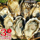【ふるさと納税】【2月上旬着】ひろちゃんカキ大サイズ3Kg(...