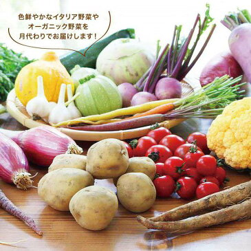 【ふるさと納税】旬を味わう『糸島野菜セット』年12回お届けコース 野菜ソムリエ松永 AJB003