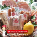 【ふるさと納税】父の日ギフト 糸島の陽光ハムセット 志摩スモ...