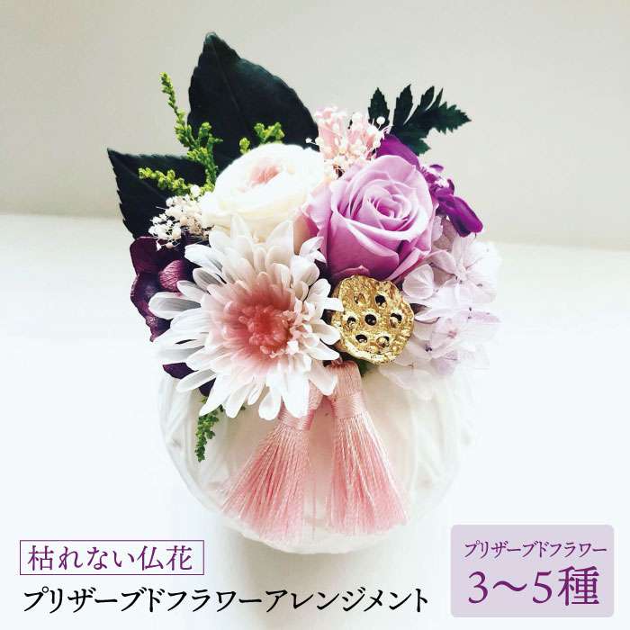 その他植物のふるさと納税返礼品 おすすめ 21最新情報 Hisふるさと納税比較 その他植物のふるさと納税返礼品 おすすめ 21最新情報 Hisふるさと納税比較