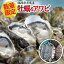 【ふるさと納税】福岡県糸島産・殻付き生牡蠣1,5kgと天然黒アワビ500g詰め合わせ 日進丸 AWA008