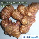 【ふるさと納税】【1月発送】菊芋(ヨーロッパ産「トピナンプー...