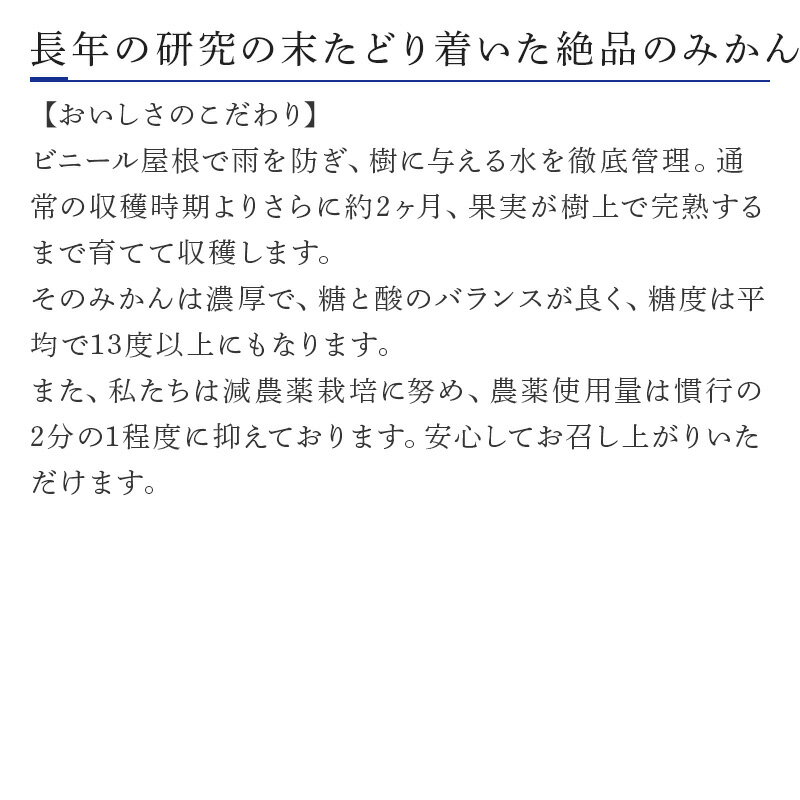 【ふるさと納税】【予約受付】完熟みかん(秀) 5kg 「1月から発送」 「2022年 令和4年」