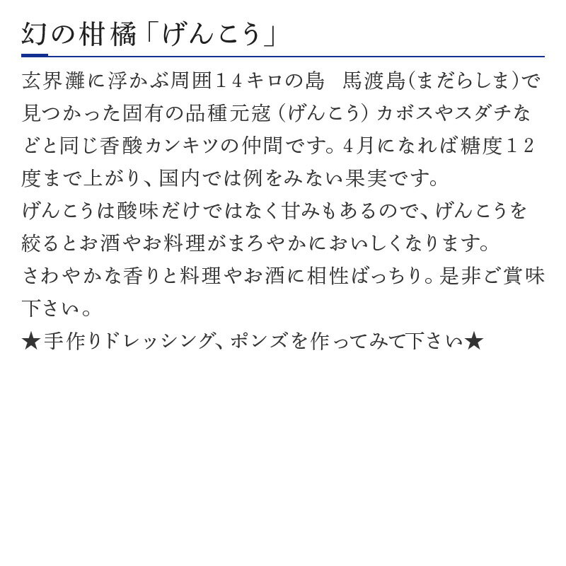 【ふるさと納税】げんこう果汁 4本 500ml×4本(合計2L) ドレッシング ポン酢 料理 「2022年 令和4年」