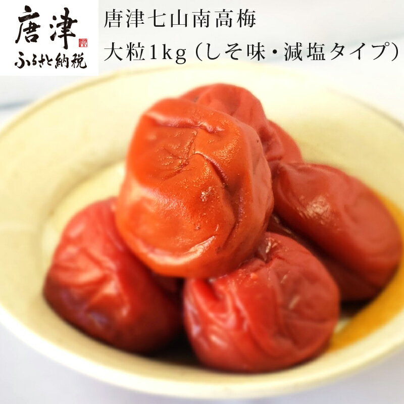 唐津七山 南高梅大粒減塩しそ味 500g×2(合計1kg)「irodoriからつ四季の返礼品」山間から湧き出る澄んだ水をふんだんに含んだ土壌で栽培 「2024年 令和6年」