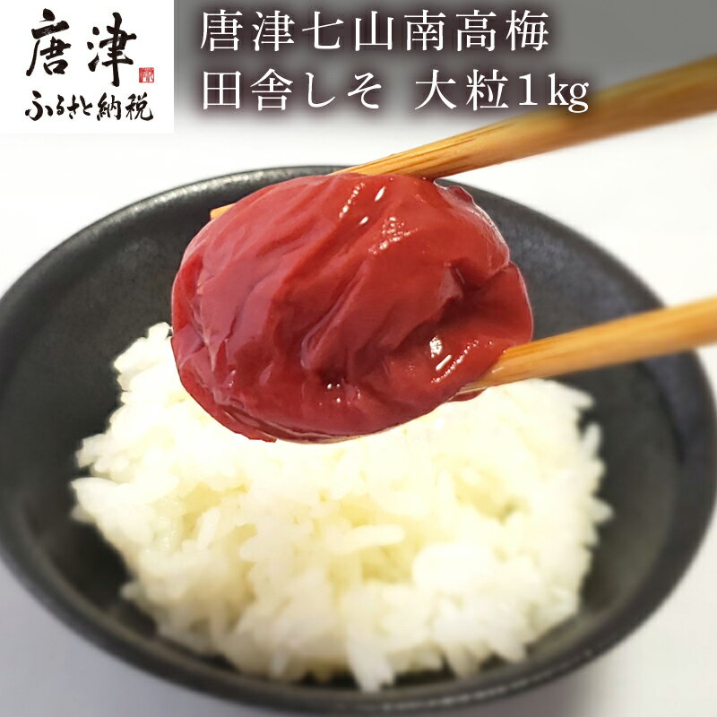 唐津七山 南高梅大粒しそ味 500g×2(合計1kg)「irodoriからつ四季の返礼品」山間から湧き出る澄んだ水をふんだんに含んだ土壌で栽培 「2024年 令和6年」