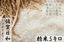 【ふるさと納税】【令和元年度産】9年連続特A受賞「さがびより...