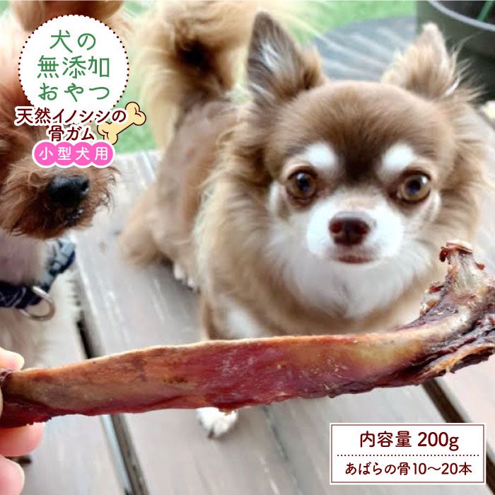 公式 ふるさと納税 小型犬用 犬の無添加おやつ 天然イノシシの骨ガム 吉野ヶ里まちづくり会 ドッグフード 犬用品 ペット用品 Fbk0 高級感 Www Relab Com Au