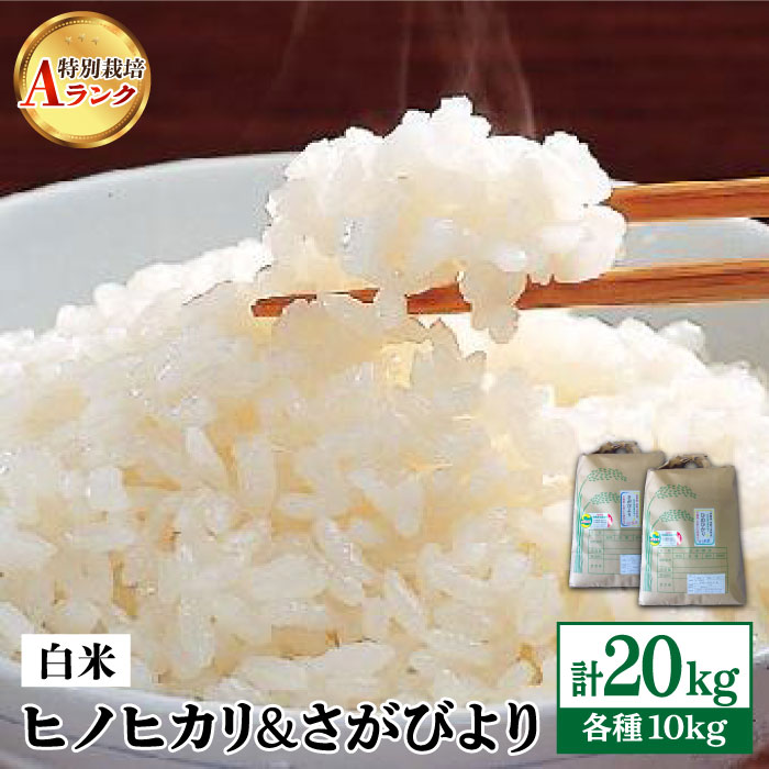 【ふるさと納税】【数量限定・佐賀県産 特別栽培米（Aランク）】白米10kg×2種（ヒ...