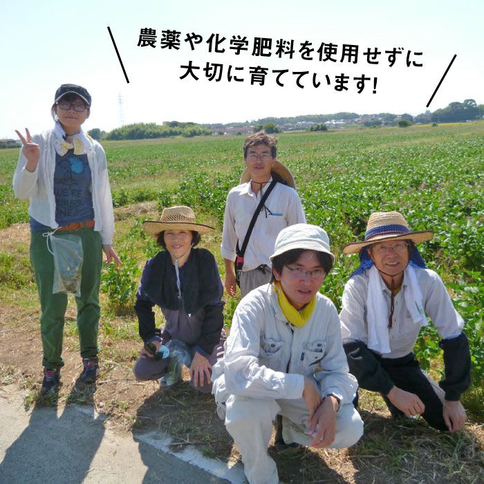 【ふるさと納税】【数量限定・令和2年度産】佐賀県産 特別栽培米（Aランク）さがびより【玄米】5kg×2袋 合計10kgセット【種まきの会】[FBO011]