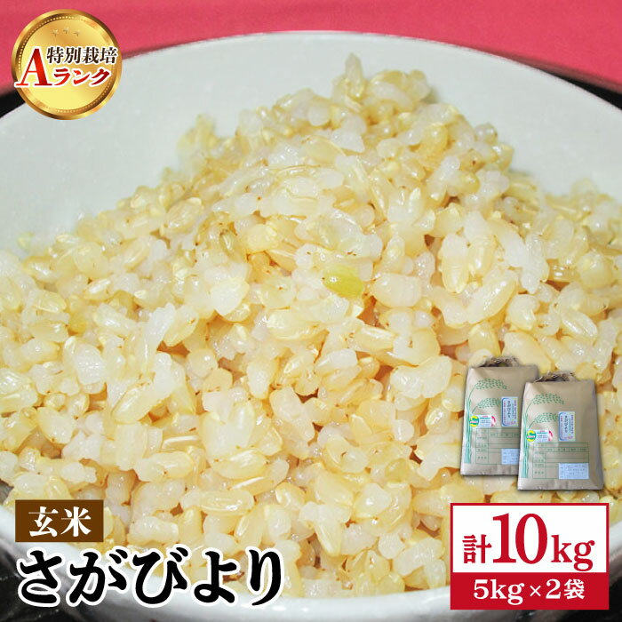 【ふるさと納税】【数量限定・令和2年度産】佐賀県産 特別栽培米（Aランク）さがびより【玄米】5kg×2袋 合計10kgセット【種まきの会】[FBO011]