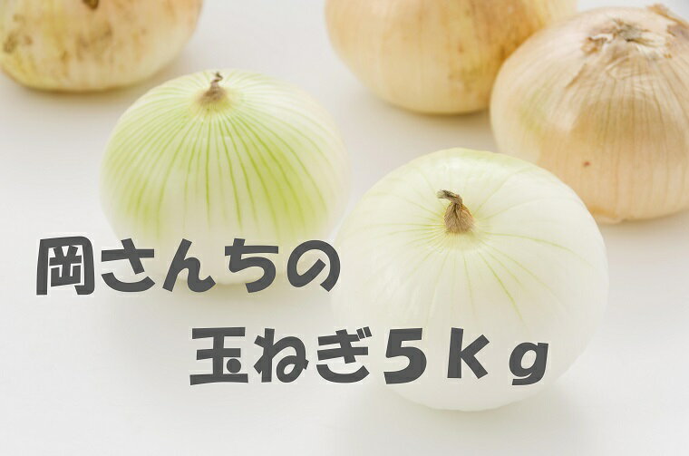 【ふるさと納税】佐賀県みやき町岡さんちのたまねぎ5kg BE012 