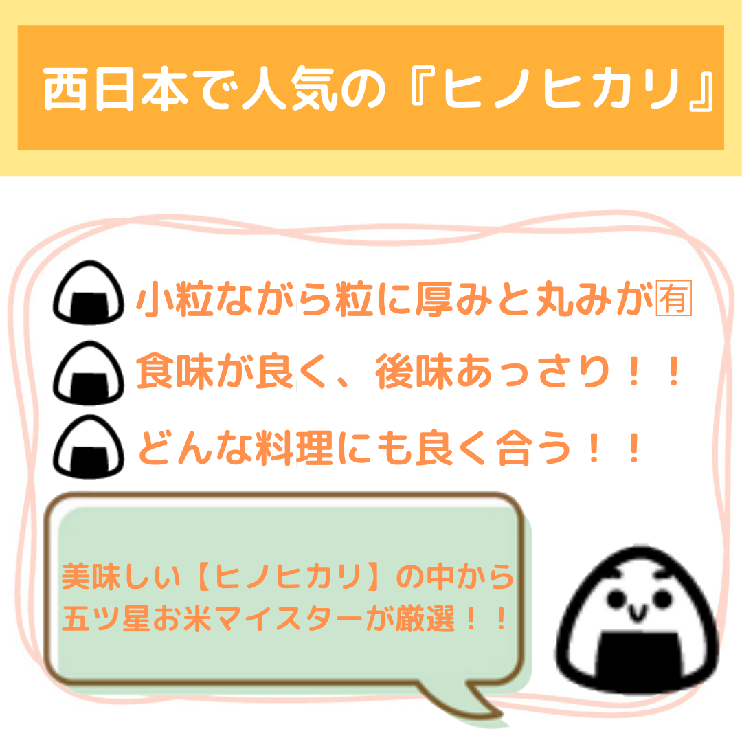 【ふるさと納税】ヒノヒカリ　白米　10kg【五つ星お米マイスター厳選！】（CI299） 2