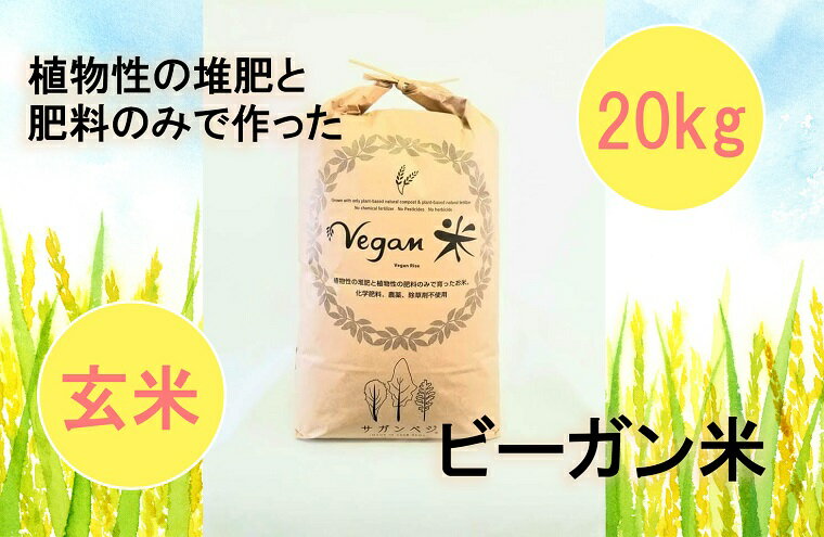 【ふるさと納税】10月15日より発送開始ビーガン米20kg　玄米【植物性で育てた完全無農薬のサガンベジブランド】（CQ007）