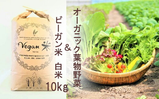 20位! 口コミ数「0件」評価「0」オーガニック葉物野菜セットとビーガン白米10kg【植物性で育てた完全無農薬のサガンベジブランド】（CQ023）