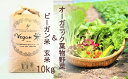 【ふるさと納税】オーガニック葉物野菜セットとビーガン玄米10kg【植物性で育てた完全無農薬のサガンベジブランド】(CQ025)