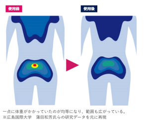 【ふるさと納税】【LPN社製】「ストレッチポールEX」（ネイビー色）一流アスリートから医療の現場、ご家庭まで幅広く活用。（FI002）