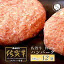 N25-4【ふるさと納税】【佐賀牛】ハンバーグ 120g ×