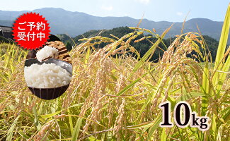 【ふるさと納税】K10-2有田発の棚田米・心感鮮(シンカンセン)10kg