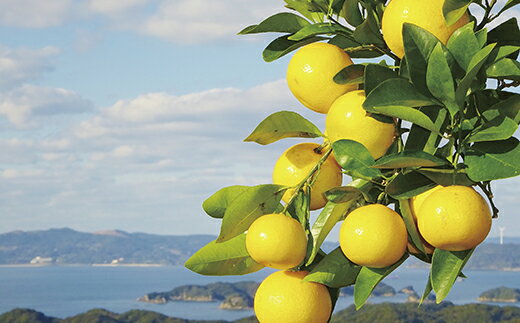 長崎県佐世保市の画像2