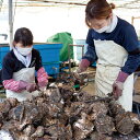 長崎県佐世保市の画像3