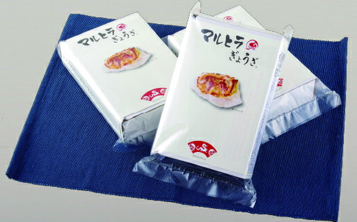 具がたっぷり!肉汁ジャンボ餃子(30入)