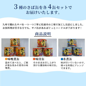 【ふるさと納税】《父の日》さば缶セット(3種×各4缶)【B2-107】 ふるさと納税 サバ缶 ふるさと納税 缶詰 鯖缶 サバ 鯖 水煮 味噌煮 醤油煮 長期保存 非常食 備蓄 保存食 セット 海鮮 簡単調理 肴 おかず 非常食 栄養 12缶 松浦 ギフト プレゼント 贈り物 父の日