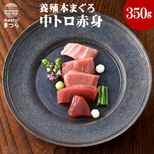 【ふるさと納税】鷹島産本まぐろ 中トロ赤身合わせて350g【B0-014】