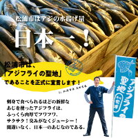 【ふるさと納税】「アジフライの聖地松浦」玄海灘釣りあじのアジフライ【B0-026】
