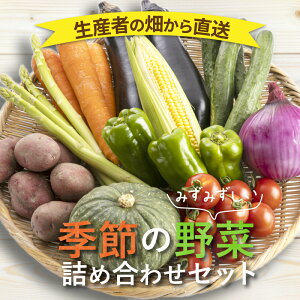 【ふるさと納税】季節の野菜詰め合わせ【A9-009】 野菜 季節の野菜 季節の果物 セット 産地直送 新鮮 トマト ニンジン ブロッコリー ジャガイモ 白菜 春野菜農家 季節 サラダ 新鮮 セット やさい 送料無料 夏 松浦市 九州 詰め合わせ おまかせ