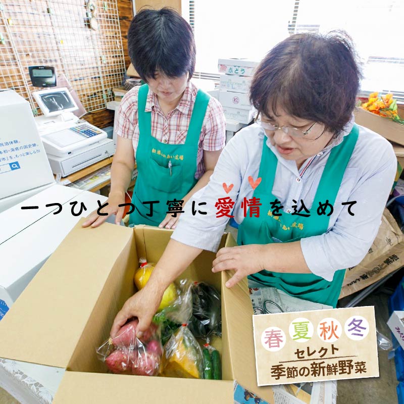 【ふるさと納税】季節の野菜詰め合わせ【A7-003】 野菜 季節の野菜 季節の果物 セット 産地直送 新鮮 トマト ニンジン ブロッコリー ジャガイモ 白菜 春野菜農家 季節 サラダ 新鮮 セット やさい 送料無料 夏 松浦 九州 詰め合わせ おまかせ