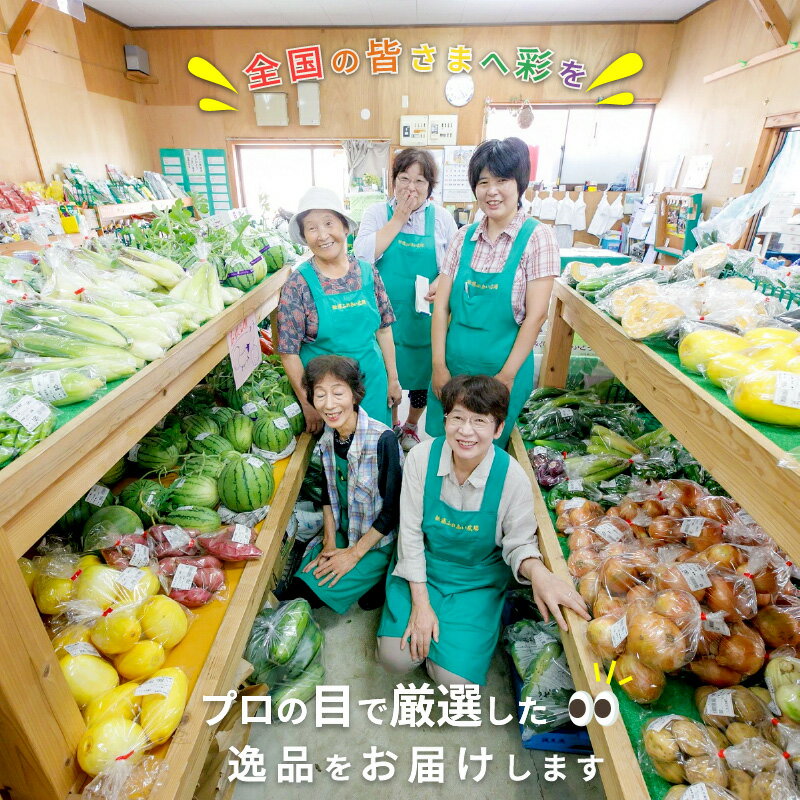 【ふるさと納税】季節の野菜詰め合わせ【A7-003】