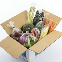 【ふるさと納税】季節の野菜詰め合わせ