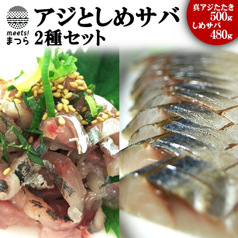 送料無料 あじ 鯵 さば 鯖 海鮮 青魚 魚 ふるさと納税 高鮮度 高品質 アジとしめサバ2種セット B0 001