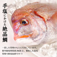 【ふるさと納税】まつよう太切りたい茶漬け