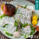 【ふるさと納税】A-067　対馬活〆島魚セット