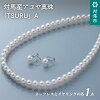 【ふるさと納税】F-002対馬産アコヤ真珠「TSURU」２点セットA