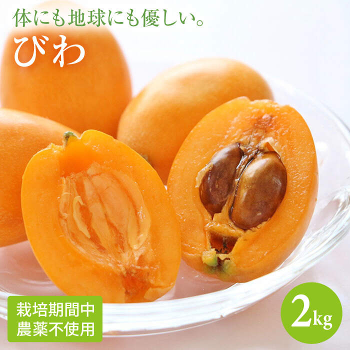 【ふるさと納税】【日本を元気に！】びわ2kg＜健酵農園＞ [CDV001]