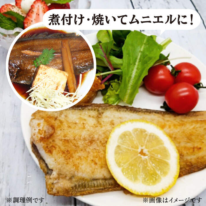 Cbw001 長崎県西海市 ふるさと納税 皮なしは刺し身に 皮付きは焼き魚や煮付けに あらは味噌汁に Cbw001 食品 新鮮手間なし ヒラメのフィレ 皮付き2切れ 皮なし2切れ あら1つ 大島水産種苗 Cbw001 長崎県西海市 ふるさと納税 皮なしは刺し身に 皮付きは焼き魚や煮付けに あらは味噌汁に Cbw001 食品 新鮮手間なし ヒラメのフィレ 皮付き2切れ 皮なし2切れ あら1つ 大島水産種苗