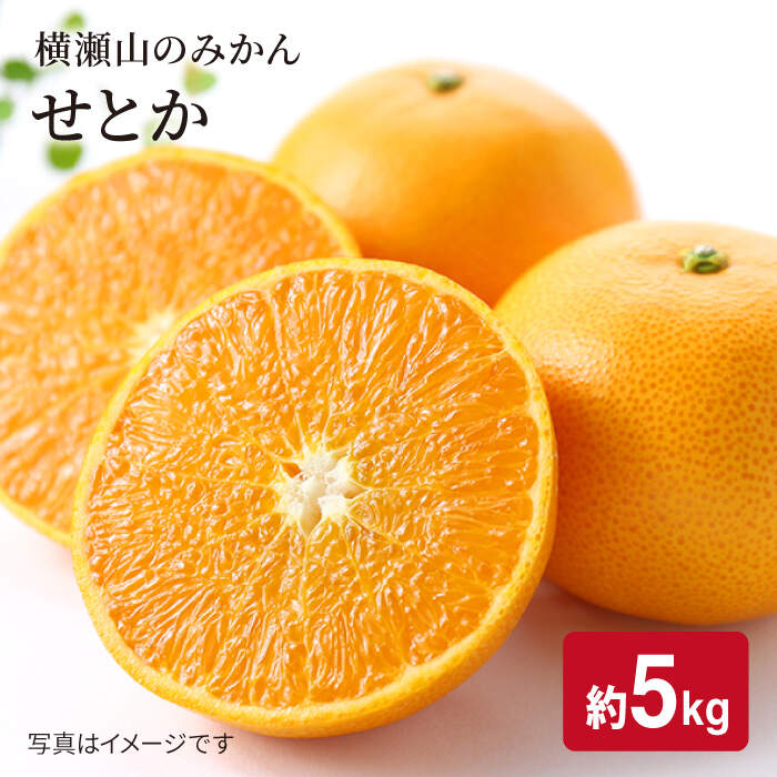 【ふるさと納税】【限定150箱】横瀬のみかん山より直送！せとか 5kg＜西海クリエイティブカンパニー＞ [CAA034]