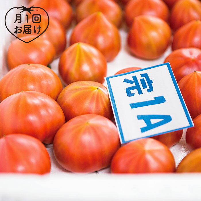 【ふるさと納税】【3本(1L×3回定期便)】(月1回) 大島トマトジュース＜大島造船所農産G＞ [CCK012]