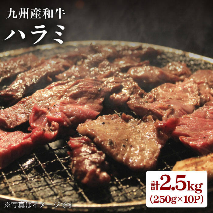 【ふるさと納税】九州産和牛ハラミ250g×10パック（計2.5kg）＜岩永ホルモン＞ [EAX005]