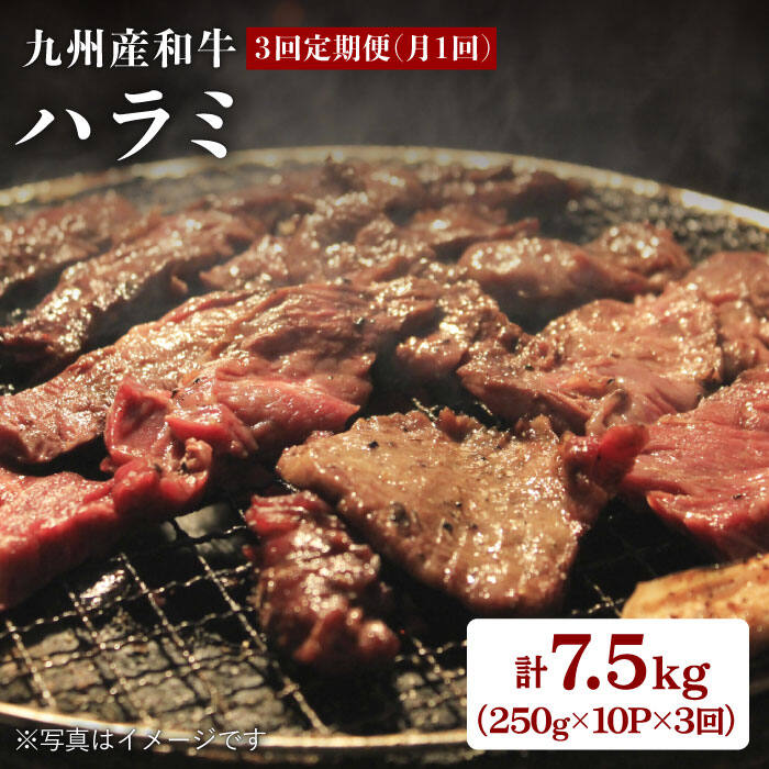 【ふるさと納税】【月1回10P×3回定期便】九州産和牛ハラミ 計7.5kg（250g×10P×3回定期便）＜岩永ホルモン＞ [EAX006]