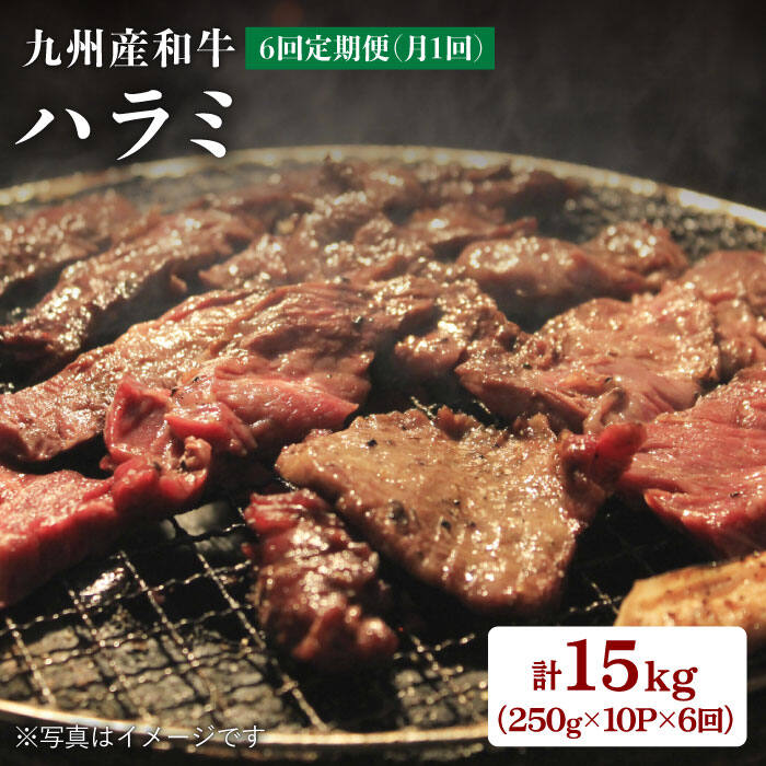 【ふるさと納税】【月1回10P×6回定期便】九州産和牛ハラミ 計15kg（250g×10P×6回定期便）＜岩永ホルモン＞ [EAX007]