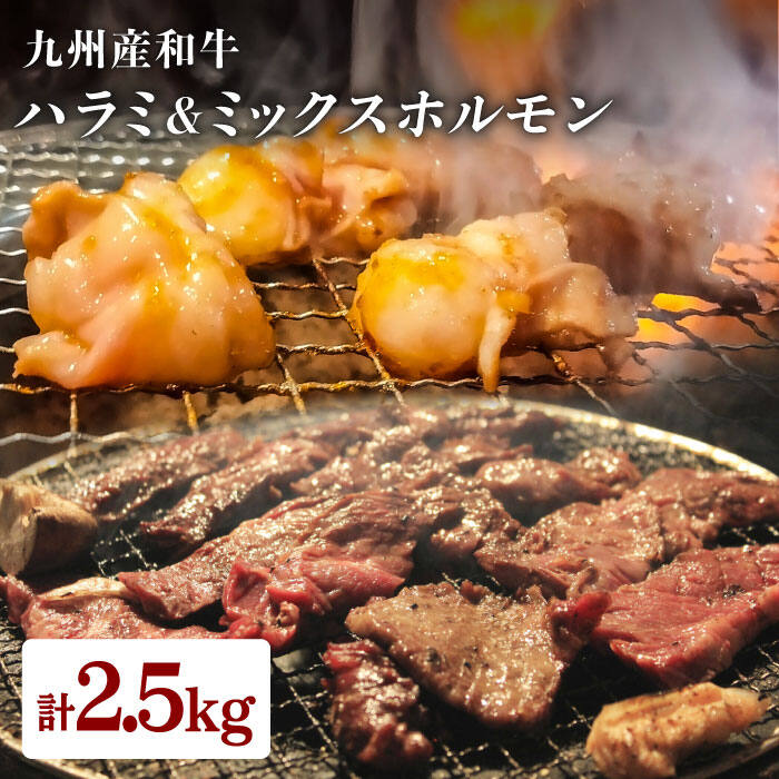 【ふるさと納税】九州産和牛ハラミ6パック＆ミックスホルモン4パック 計2.5kg＜岩永ホルモン＞ [EAX009]