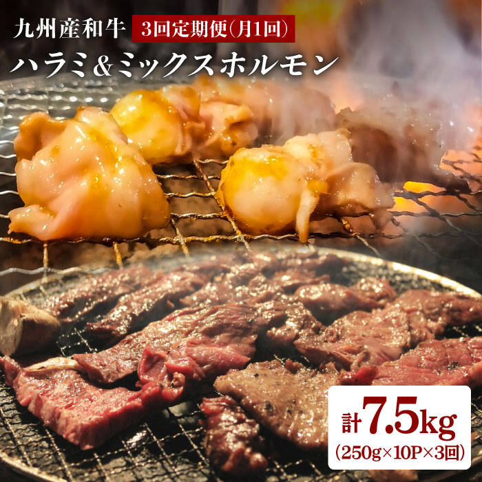【ふるさと納税】【月1回10P×3回定期便】九州産和牛ハラミ＆ミックスホルモン 計7.5kg＜岩永ホルモン＞ [EAX010]