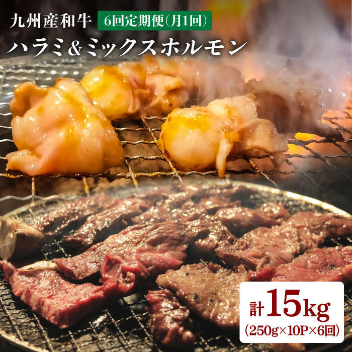 【ふるさと納税】【月1回10P×6回定期便】九州産和牛ハラミ＆ミックスホルモン 計15kg＜岩永ホルモン＞ [EAX011]