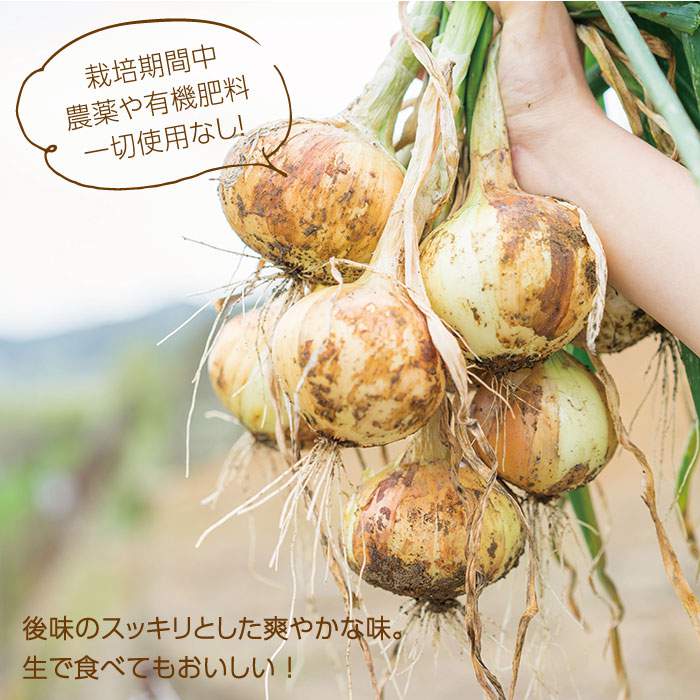 【ふるさと納税】【栽培期間中肥料・農薬不使用】玉ねぎ 6kg【浅田峠自然塾】 [EA03]