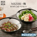 【ふるさと納税】【波佐見焼】NEZIRI 梅 BOWL（M）ペア ボウル カップ 食器 食器 皿 【利左エ門窯】 QB39