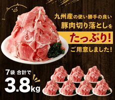 【ふるさと納税】【訳あり】九州産豚切り落とし合計3.8kgたっぷり7袋小分け豚肉お肉小分け簡易真空冷凍国産九州送料無料